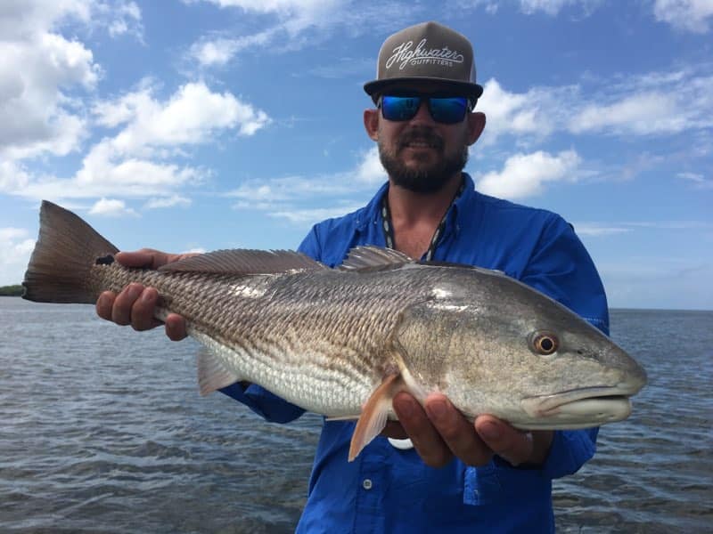 Fishing Charter Red Fish Catch