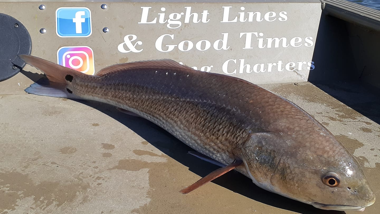 Light Lines and Good Times Boat with a Redfish