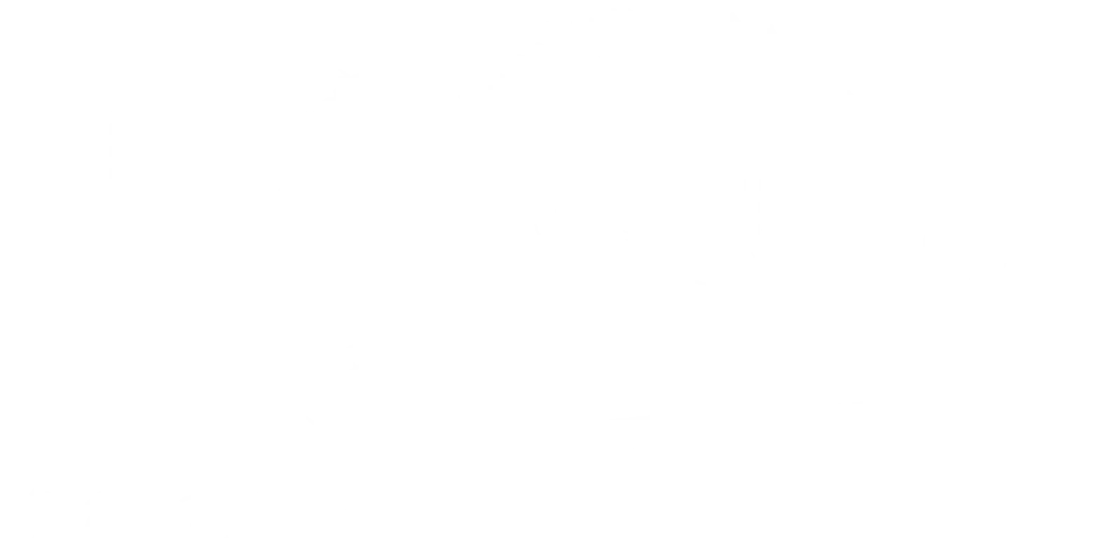 Black Drum Fish
