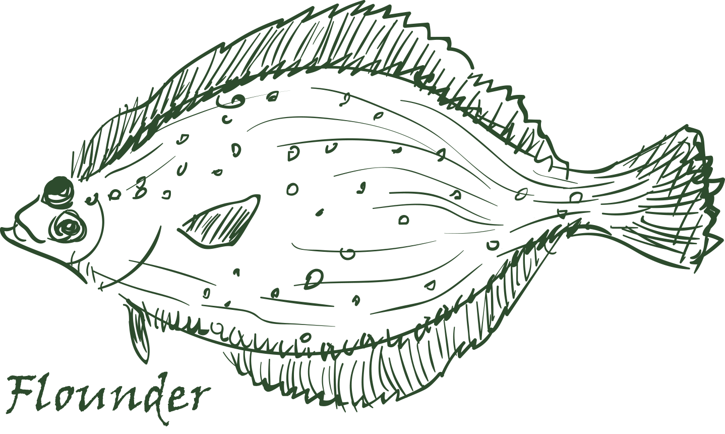 Flounder Fish Silouhette