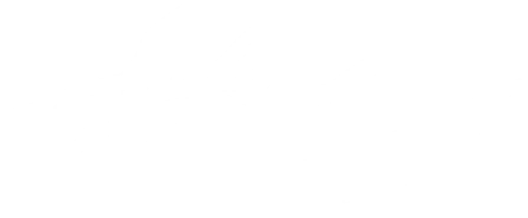 Snook Fish